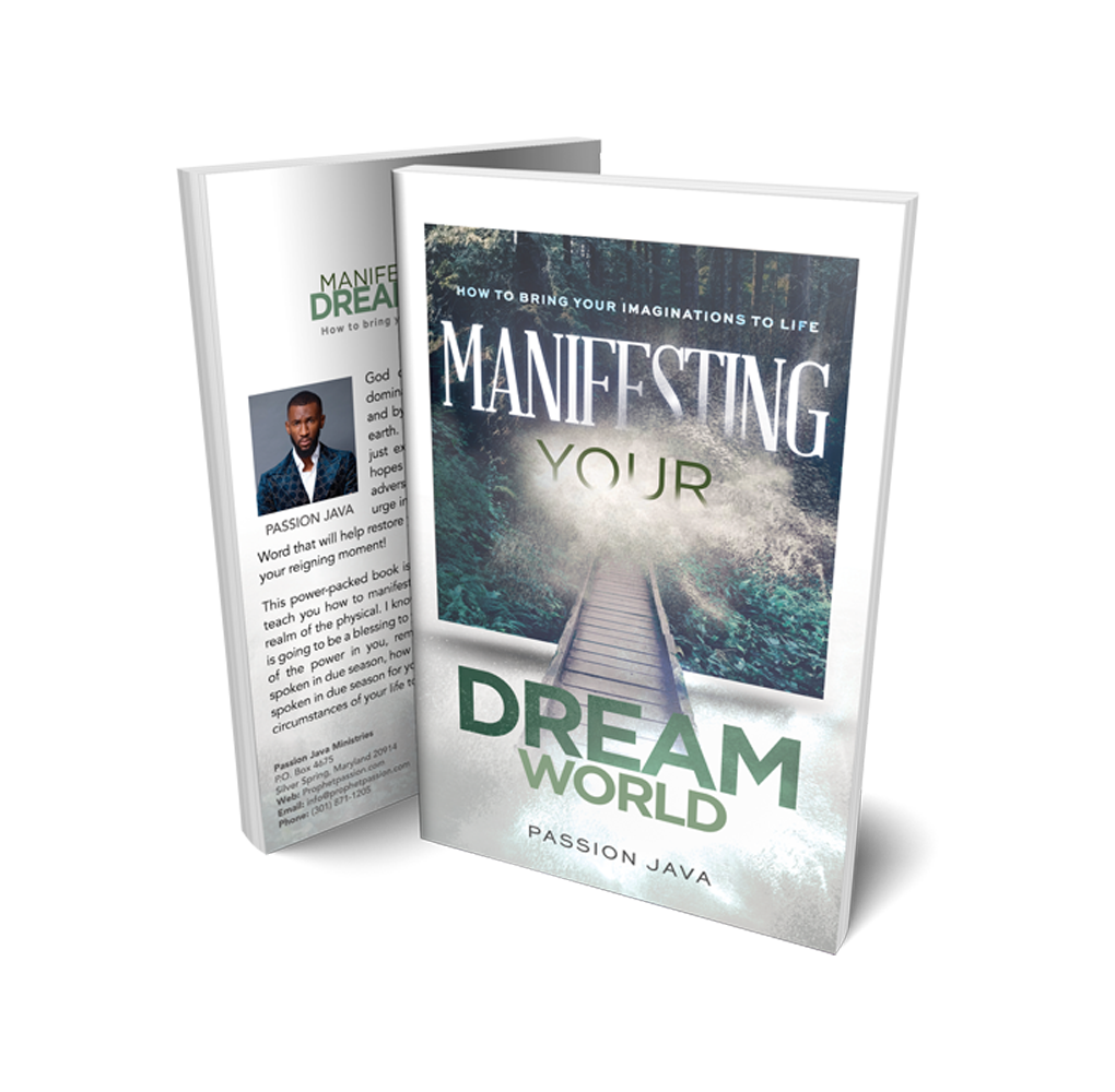Manifesting Your Dream World Paperback